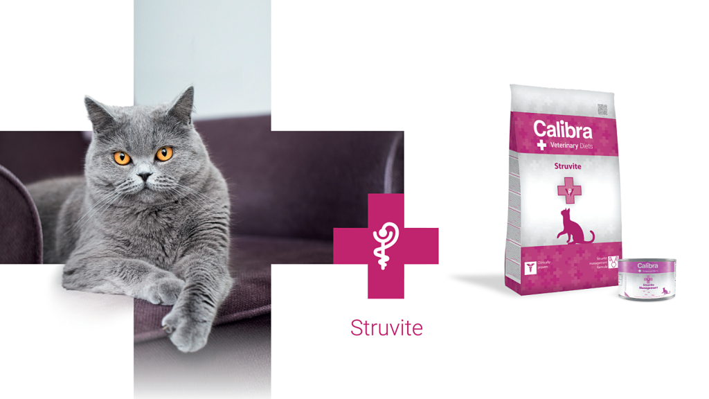 CALIBRA Veterinary Diet Cat Struvite - Aliment Pour Chat 5 Kg, Formule Urinaire, Croquettes Spécialisées