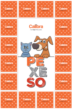 Pexeso Calibra