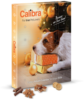Calibra Dog – Adventní kalendář pro psy 2026