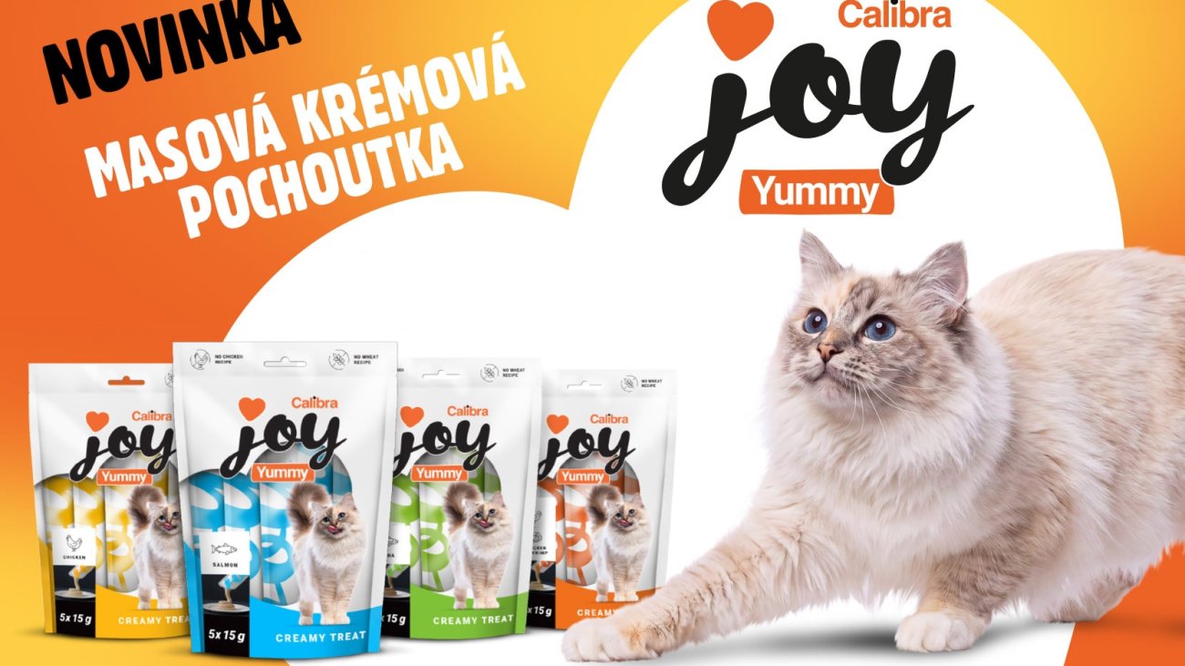 cat-yummy-1660x1064-cz