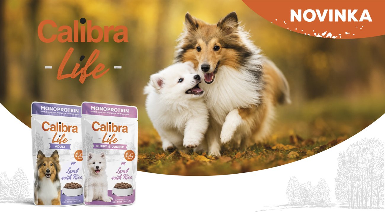 CALIBRA-LIFE-dog- pouches-bannery-2xNEW-LAMB-1920x1080-9-26-CS