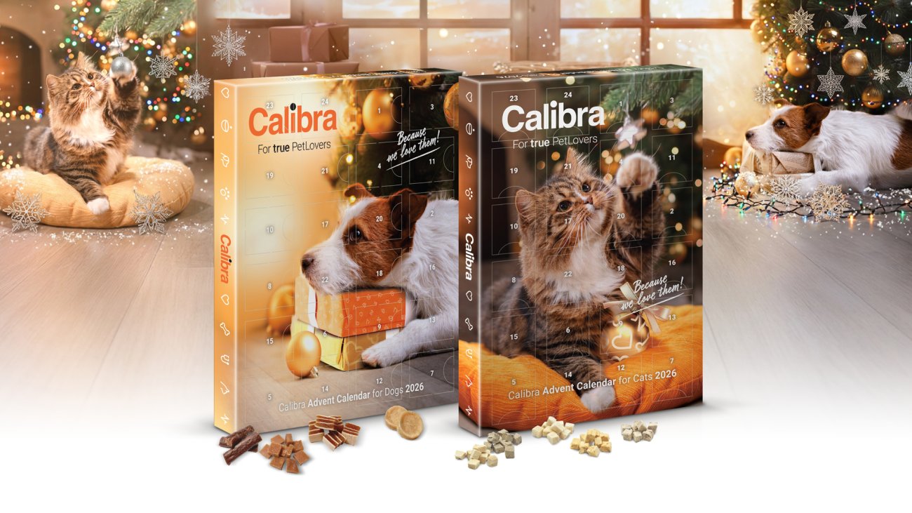 Calibra_A5_banner_1920x1080_ADVENT_2026