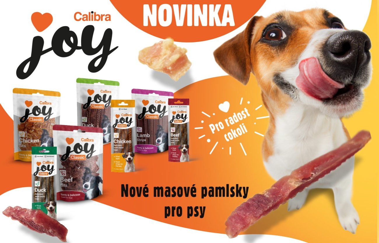 Pes s vyplazeným jazykem a několik balení nových pamlsků Calibra JOY s textem: Novinka, nové masové pamlsky pro psy.
