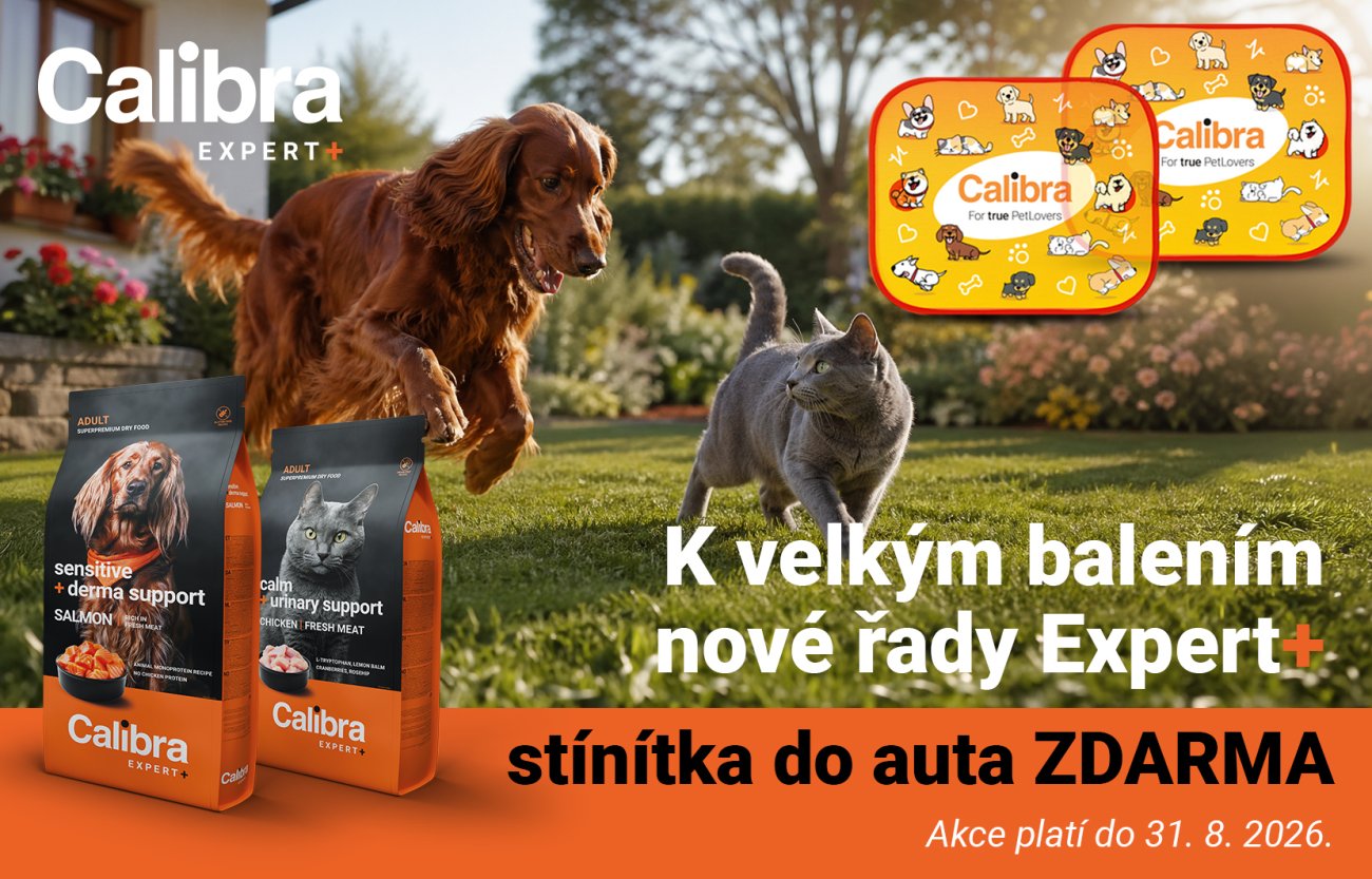 Běžící pes a kočka, k velkému balení Expert+  set stínítek do auta zdarma. Platí do 31.7.