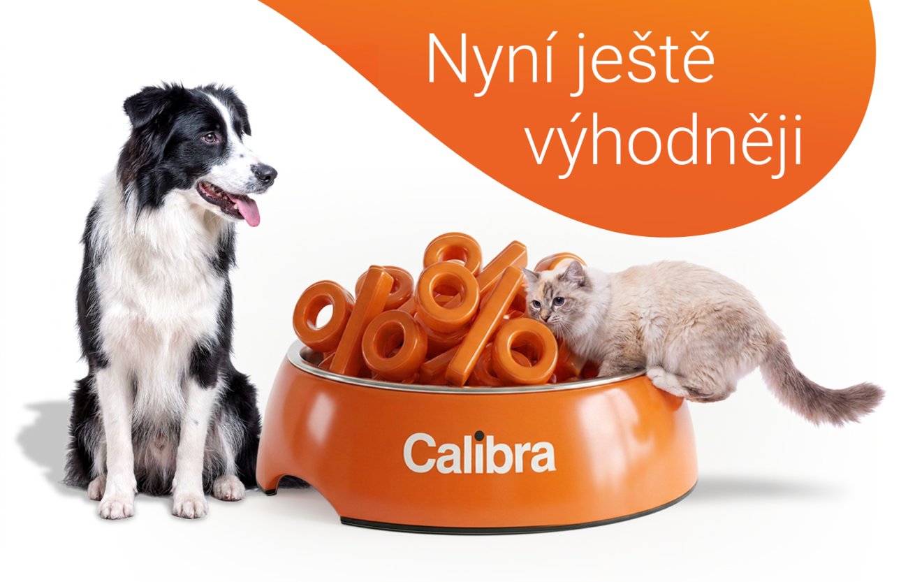 Pes a kočka u oranžové misky plné velkých %. Text: Nyní ještě výhodněji.