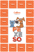 Pexeso Calibra